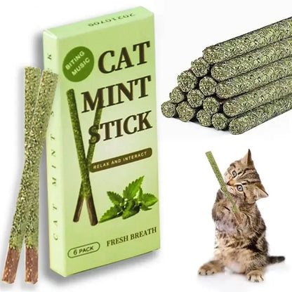 Natural Matatabi Cat Sticks Silvervine Mint Rods