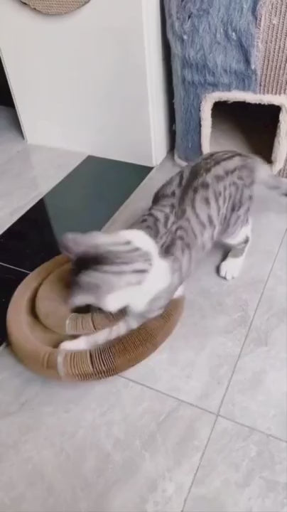 Kitty Spiral