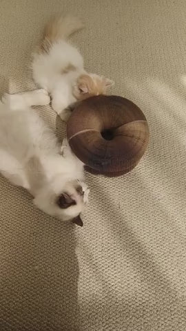 Kitty Spiral